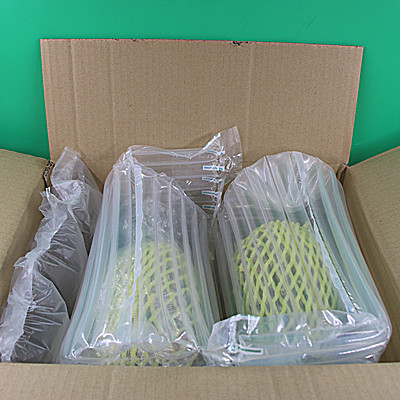 Sunshinepack Wholesale dunnage bags manufacturer in india manufacturers for delivery