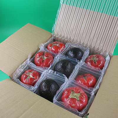 2020 newest packing solution of fruits,best shock-proof effectively.