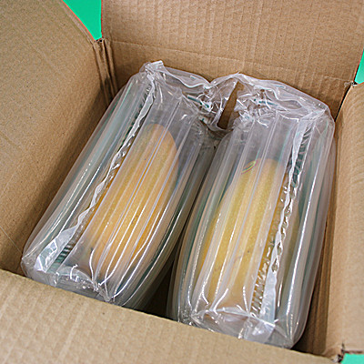 Sunshinepack Latest air column packing factory for goods