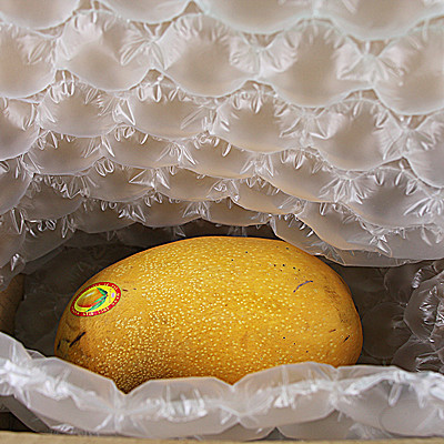 Best bubble wrap packaging printing Supply for logistics