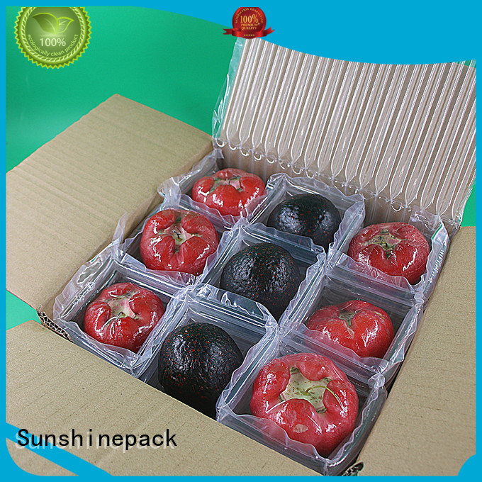 Sunshinepack Latest air filter housing factory for delivery